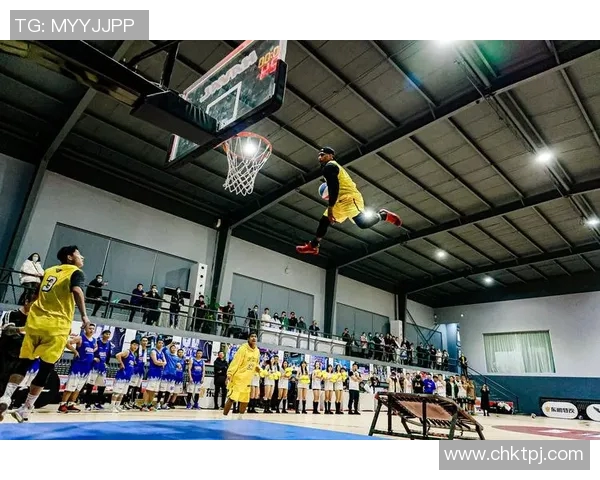 篮球明星米歇尔的传奇之路与她对运动的热爱与奉献精神